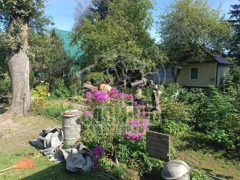 IMG 20250910 WA0053