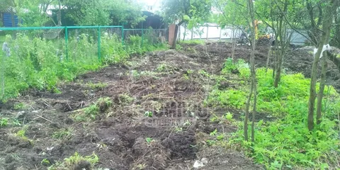 WhatsApp Image 2022 06 15 at 17.39.10