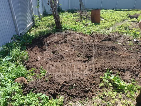 IMG 20250706 WA0005