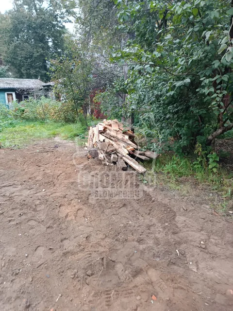 IMG 20250919 WA0021