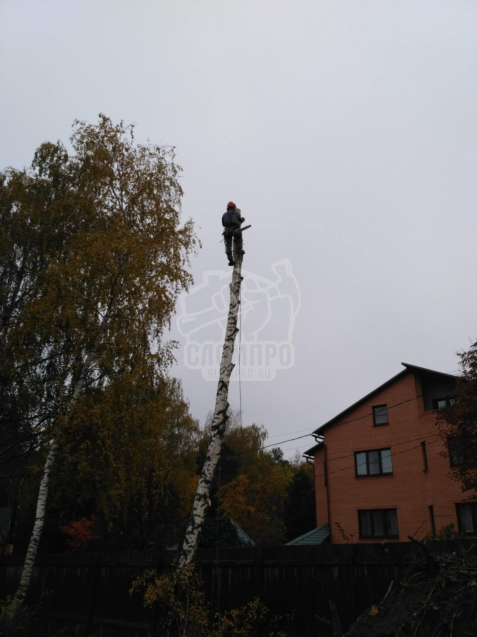 Процесс высотных работ